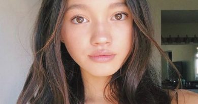 lily chee 1 390x205 - Lily Chee Biography - life Story, Career, Awards, Age, Height