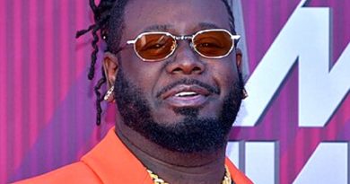 t pain 1 390x205 - T-Pain Biography - life Story, Career, Awards, Age, Height